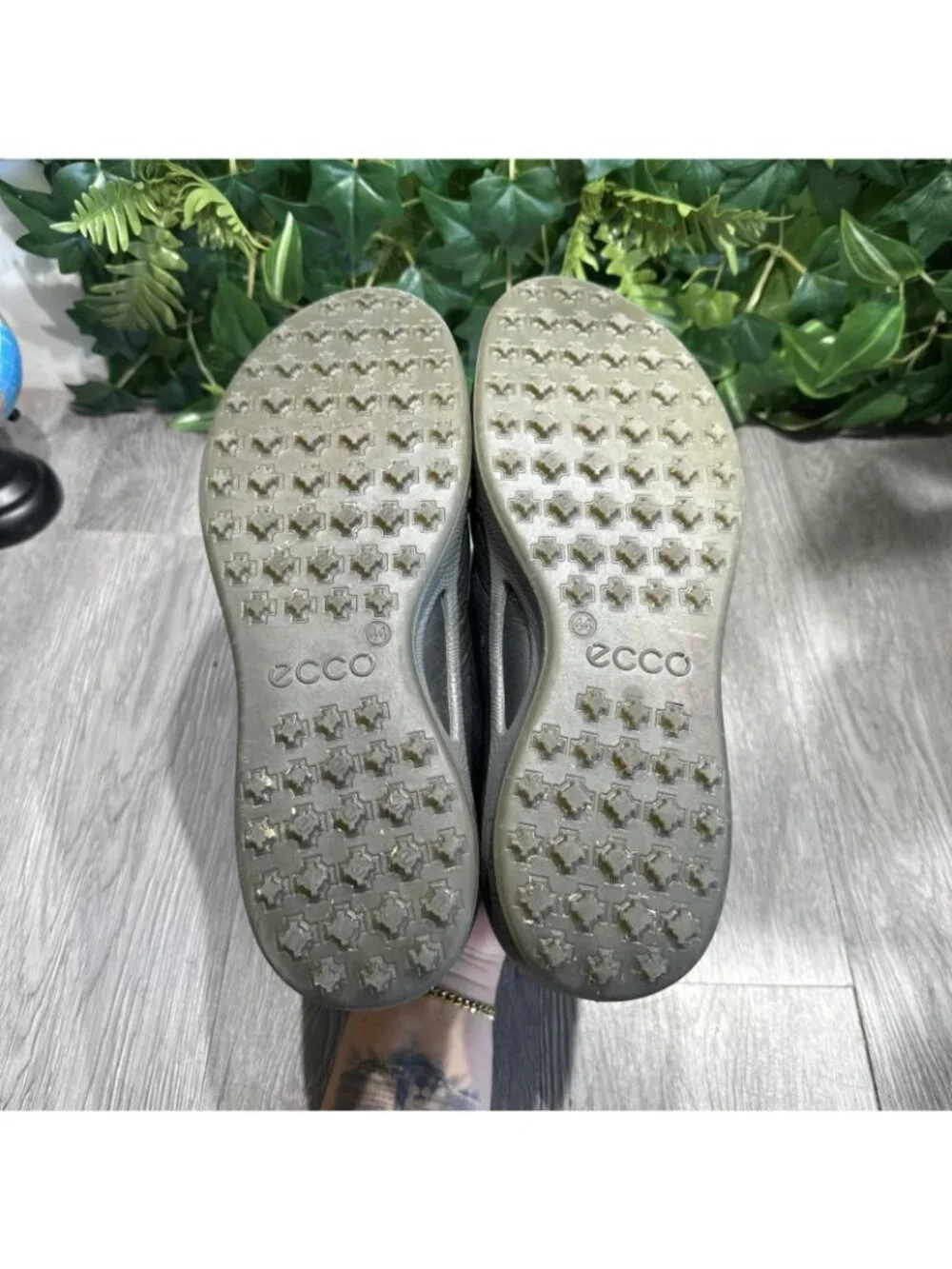 Ecco please check